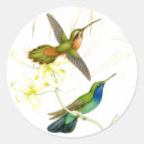 Search for hummingbirds stickers Animals