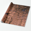 Search for grunge gift wrap Decoupage