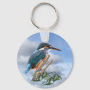 Search for kingfisher birds key rings Colourful