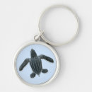 Search for leatherback turtle Ocean