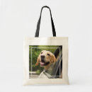 Search for mirror mirror bags Pet