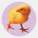 Search for hatching chick stickers Yellow