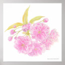 Search for spring pink art Flowers