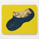 Search for shoe mousepads Kitten