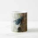 Search for nuthatch mugs Wildlife