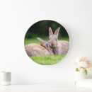 Search for cottontail art Springtime