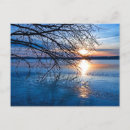 Search for tree photo postcards Sunset