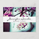 Search for massage therapists postcards Salon