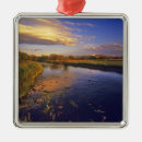 Search for jackson hole christmas tree decorations Reflection