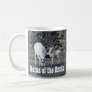 Search for gates of the arctic mugs National park