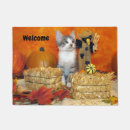 Search for cat doormats Fall
