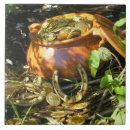 Search for irish tiles Ireland