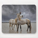 Search for wild stallion mousepads Ranch