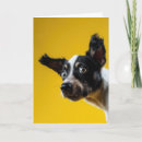 Search for gag birthday cards Retro