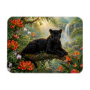 Search for black panther magnets Leopard
