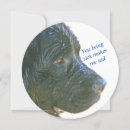 Search for sad get well cards Dogs