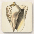 Search for creatures coasters Coastal