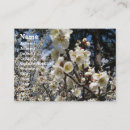 Search for cherry blossoms business cards Japan