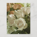 Search for vintage rose postcards Flowers