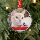 Search for cat photo christmas tree decorations Typography