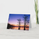 Search for refuges cards Sunset