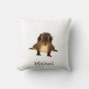 Search for red squirrel cushions Animal