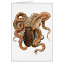Search for tentacles cards Octopi