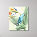 Search for bird canvas prints Tropical