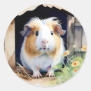 Search for cute guinea pig stickers Animal