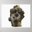 Search for natural sciences posters Jewel