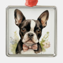 Search for boston christmas tree decorations White