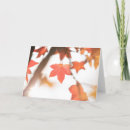 Search for maple cards Autumn colours