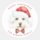 Search for dog envelope seals Cute