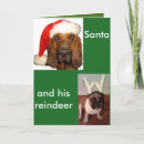 Search for hound christmas cards Dog