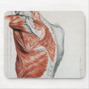 Search for anatomical electronics Muscular