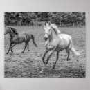 Search for barnyard animal posters Animals