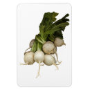 Search for root magnets Turnip