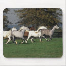 Search for arabs mousepads Running