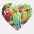 Search for colourful parrot stickers Animal