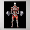 Search for workout posters Training