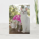 Search for cat mothers day cards Kitty