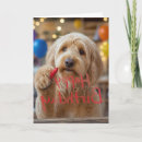 Search for labradoodle birthday cards Dog
