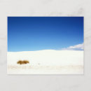 Search for white sand postcards New mexico