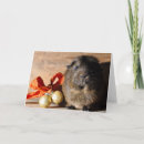 Search for guinea pig christmas cards Rodent