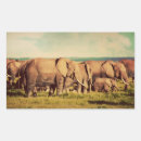 Search for cool elephants stickers Africa