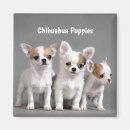 Search for dog breed magnets Animal