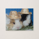 Search for guinea pig puzzles Cavy