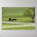 Search for farm animals posters White