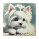 Search for maltese tiles Puppy
