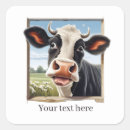 Search for cow lover stickers Funny